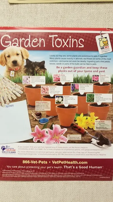 Neighborhood Pet Clinic 12