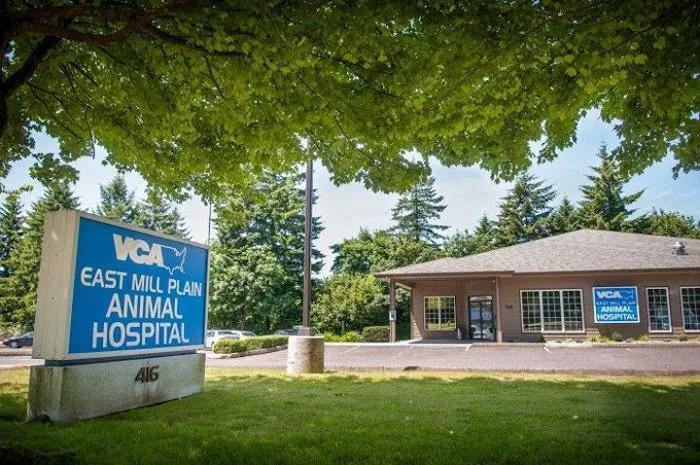 VCA East Mill Plain Animal Hospital 12