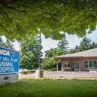 VCA East Mill Plain Animal Hospital ico