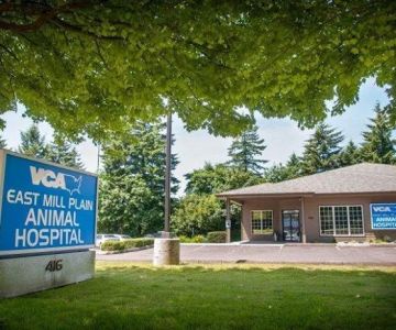 VCA East Mill Plain Animal Hospital