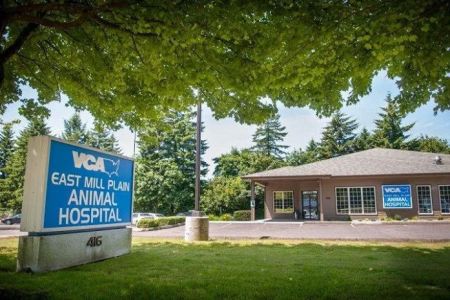 VCA East Mill Plain Animal Hospital