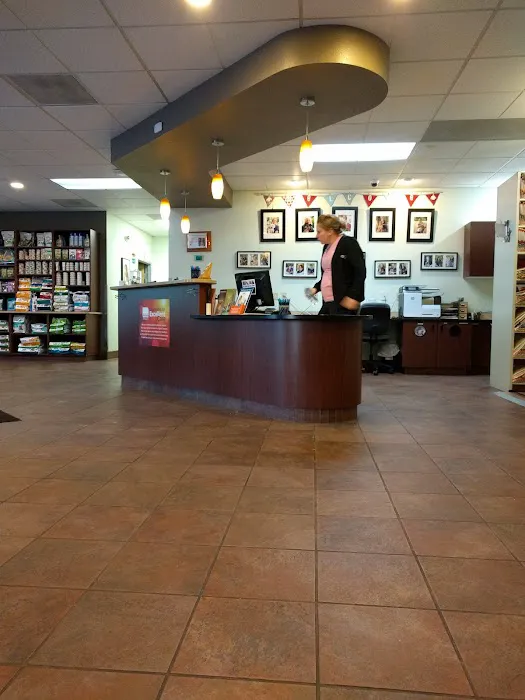 VCA East Mill Plain Animal Hospital 12