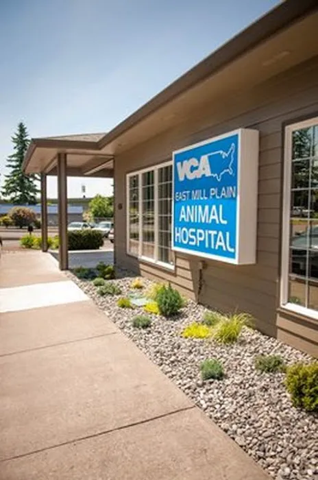 VCA East Mill Plain Animal Hospital 12