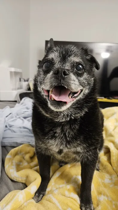Banfield Pet Hospital 3