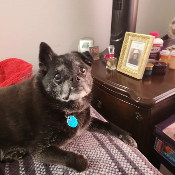 Banfield Pet Hospital 4