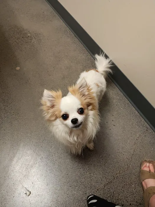 Vetco Total Care Animal Hospital 12