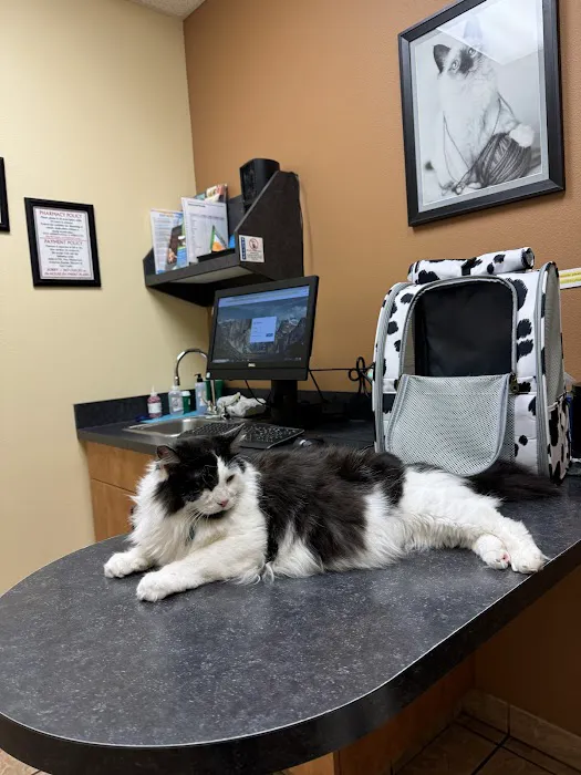 Crestwood Court Veterinary Clinic 12