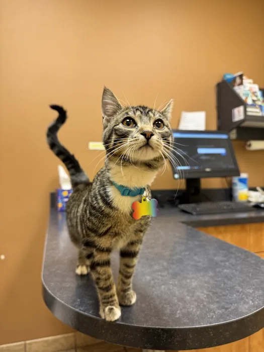 Crestwood Court Veterinary Clinic 12