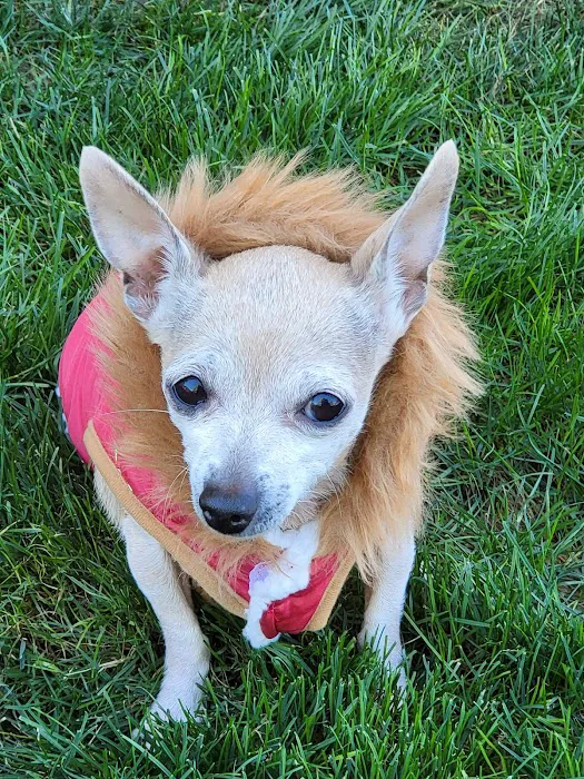 St. Francis Animal Hospital 2