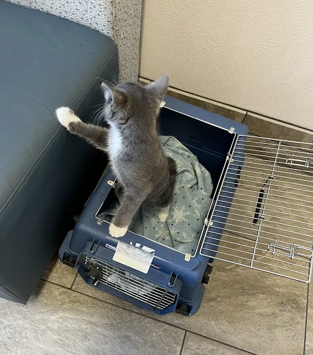 St. Francis Animal Hospital 3