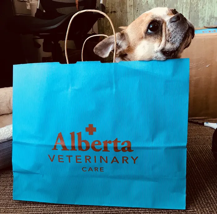 Alberta Veterinary Care 4