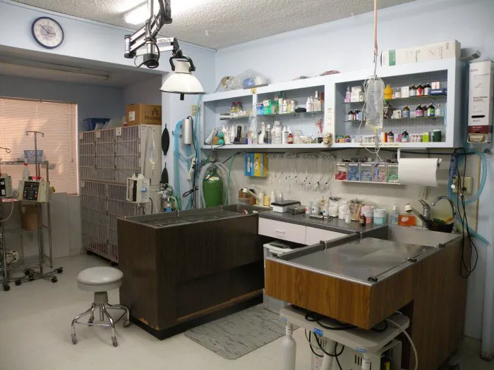 VCA College Park - Ana Brook Animal Hospital 1