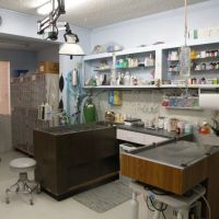 VCA College Park - Ana Brook Animal Hospital ico