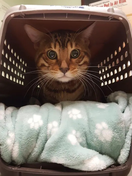 Boulevard Animal Hospital 9