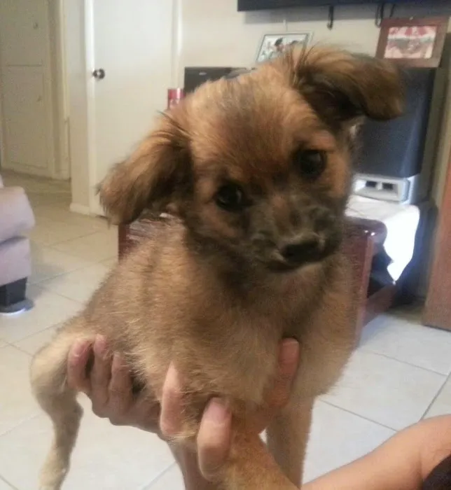 Boulevard Animal Hospital 8