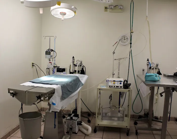 Animal Hospital of Huntington Beach 6