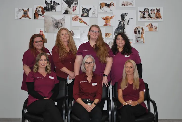 Animal Hospital of Huntington Beach 9