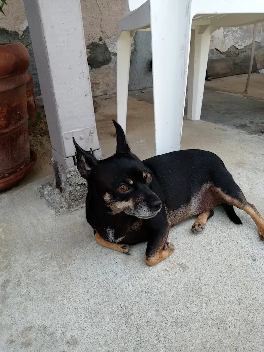 Stanton Pet Hospital 8
