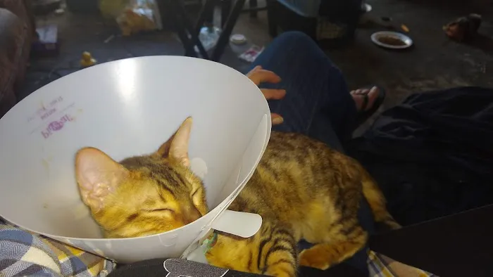 Stanton Pet Hospital 4