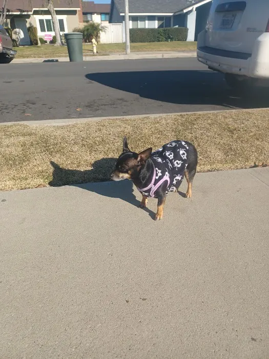 Stanton Pet Hospital 6