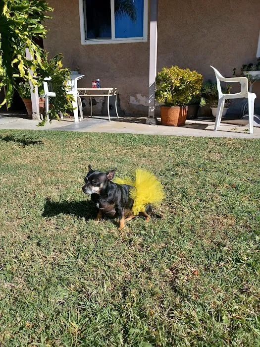 Stanton Pet Hospital 1