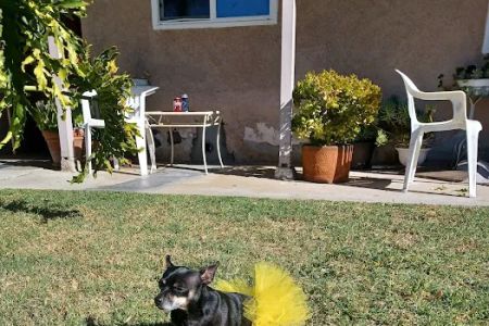 Stanton Pet Hospital