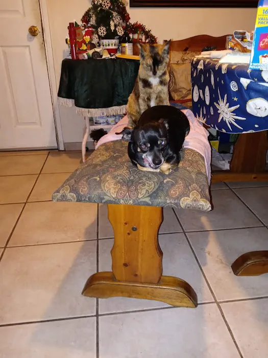 Stanton Pet Hospital 5