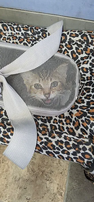 Brookhaven Pet Hospital 2