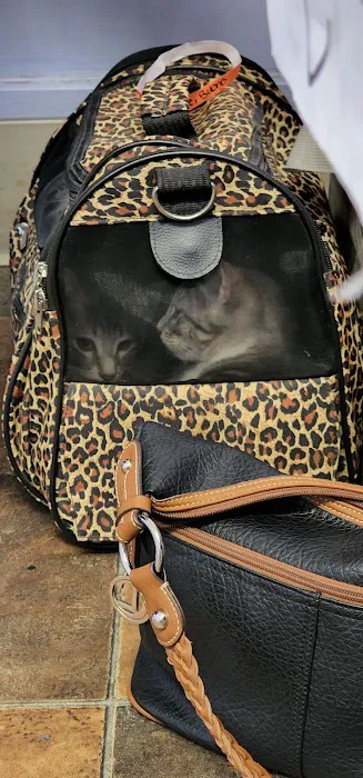 Brookhaven Pet Hospital 5