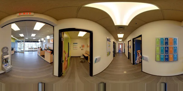 Banfield Pet Hospital 2