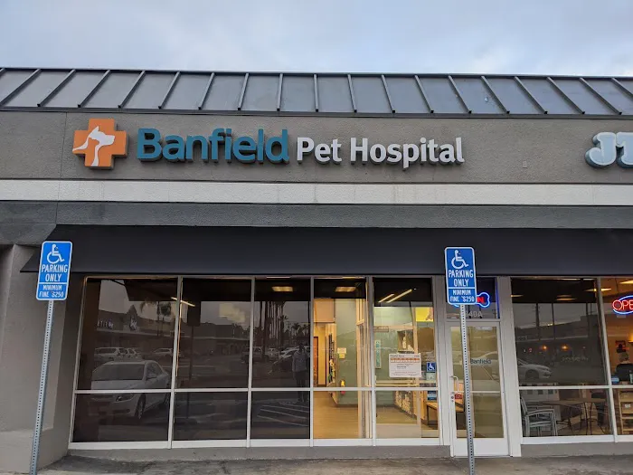 Banfield Pet Hospital 7