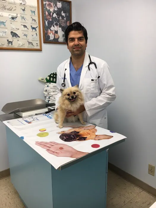 Sea Gate Veterinary Hospital 2