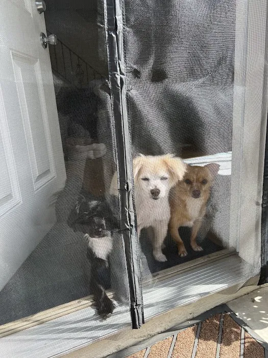 Sea Gate Veterinary Hospital 4