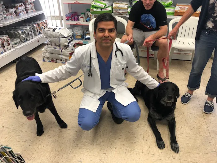 Sea Gate Veterinary Hospital 6