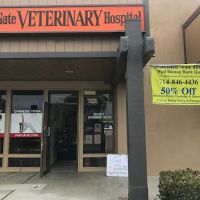 Sea Gate Veterinary Hospital ico