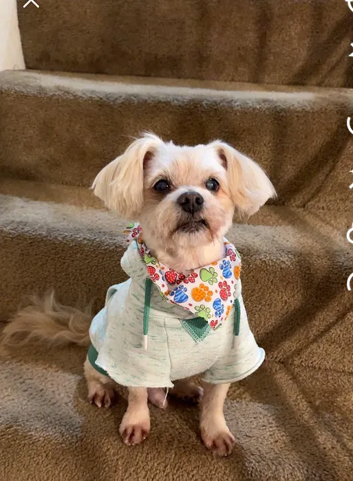 LOVE Animal Hospital and Urgent Care 10