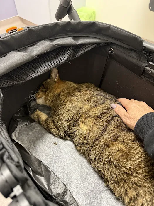 LOVE Animal Hospital and Urgent Care 8