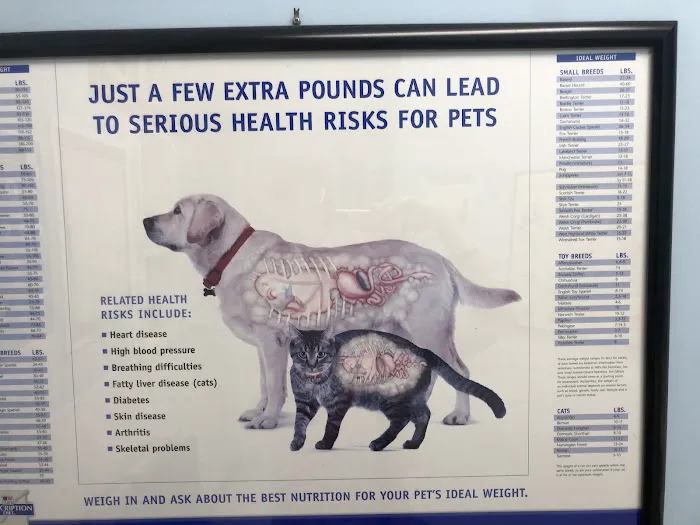 Los Alamitos Animal Hospital 10
