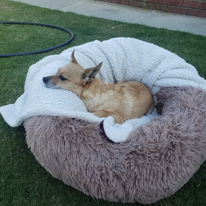Los Alamitos Animal Hospital 9