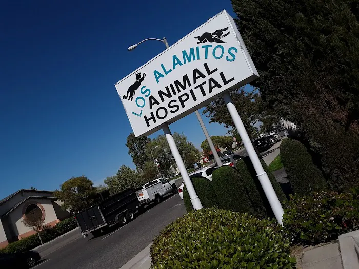 Los Alamitos Animal Hospital 5