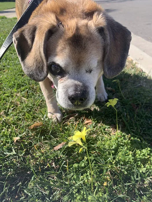 Los Alamitos Animal Hospital 7