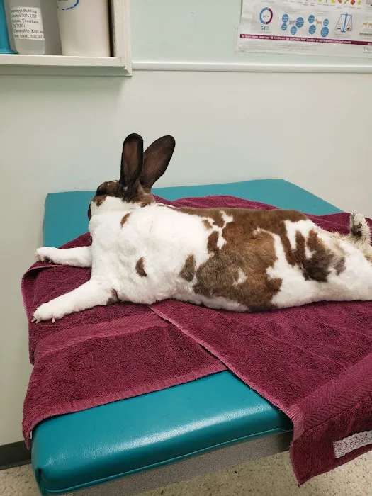 Los Alamitos Animal Hospital 6
