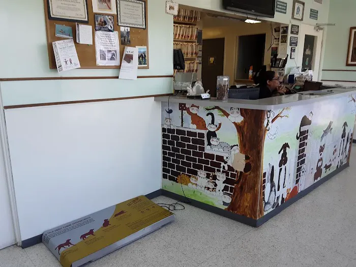 Los Alamitos Animal Hospital 4