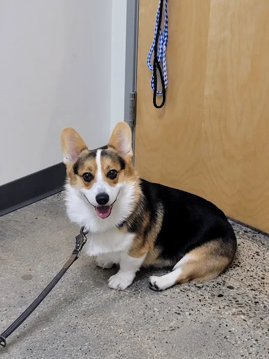 Vetco Total Care Animal Hospital 12