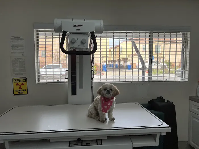 ABC Animal Hospital 4