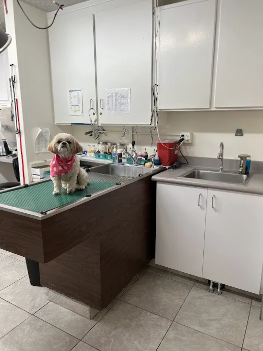 ABC Animal Hospital 9
