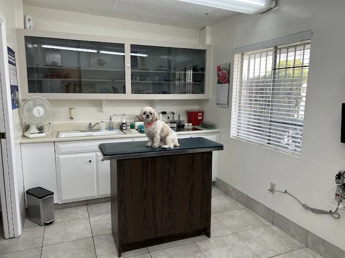 ABC Animal Hospital 8