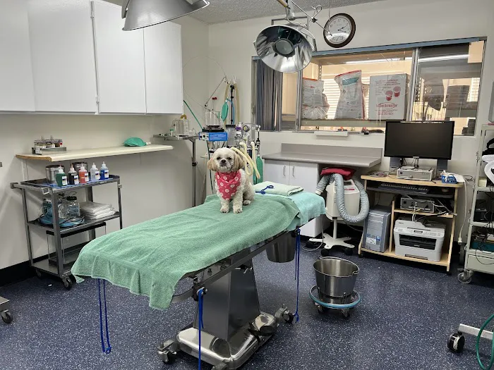 ABC Animal Hospital 1