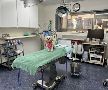 ABC Animal Hospital