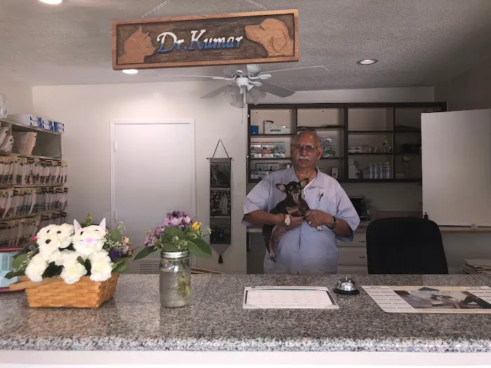 ABC Animal Hospital 10
